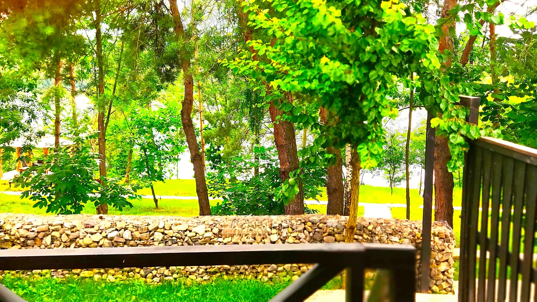 Green terrace view