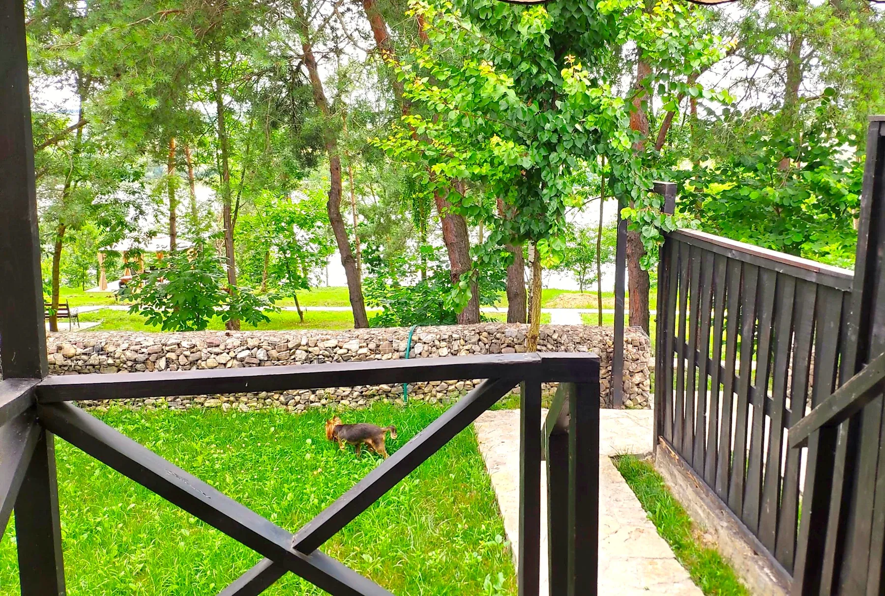Terrace and park view